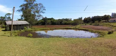 Fazenda / Sítio / Chácara com 2 Quartos à venda, 120m² no Branquinha, Viamão - Foto 7