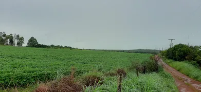 Fazenda / Sítio / Chácara à venda, 115000m² no Paranoá, Brasília - Foto 19