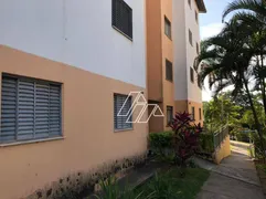 Apartamento com 2 Quartos à venda, 50m² no Jardim Lavínia, Marília - Foto 2