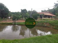 Fazenda / Sítio / Chácara com 2 Quartos à venda, 484000m² no Zona Rural, Heitoraí - Foto 2