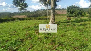 Fazenda / Sítio / Chácara à venda, 1111111m² no Zona Rural, Campanha - Foto 12