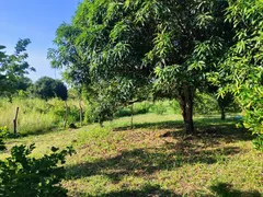 Fazenda / Sítio / Chácara com 2 Quartos à venda, 100000m² no Zona Rural, Glória do Goitá - Foto 13