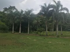 Terreno / Lote Comercial à venda, 13650m² no Serra Do Mato Grosso, Saquarema - Foto 11