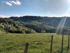 Fazenda / Sítio / Chácara com 2 Quartos à venda, 140m² no Lopes, Valinhos - Foto 90