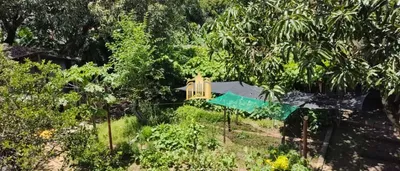 Fazenda / Sítio / Chácara com 5 Quartos à venda, 1700m² no Solar do Madeira, Contagem - Foto 4