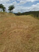 Terreno / Lote Comercial à venda, 1500m² no , Santa Branca - Foto 8