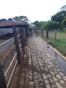Fazenda / Sítio / Chácara com 7 Quartos à venda no , Araçu - Foto 4