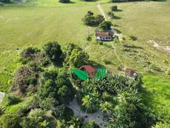 Fazenda / Sítio / Chácara com 3 Quartos à venda, 70000m² no Povoado, Pedras de Fogo - Foto 8