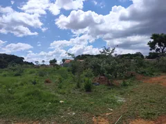 Terreno / Lote / Condomínio à venda, 5000m² no Chácaras Buritis, Goiânia - Foto 4