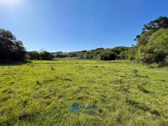 Fazenda / Sítio / Chácara à venda, 80m² no Vila Seca, Caxias do Sul - Foto 26