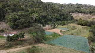 Fazenda / Sítio / Chácara com 4 Quartos à venda, 571725m² no Providencia, Teresópolis - Foto 24