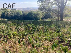 Fazenda / Sítio / Chácara com 4 Quartos à venda, 400m² no Zona Rural, Espírito Santo do Pinhal - Foto 4