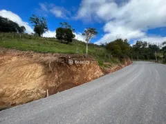 Terreno / Lote / Condomínio à venda, 13000m² no Vale dos Vinhedos, Bento Gonçalves - Foto 2