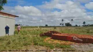 Fazenda / Sítio / Chácara com 6 Quartos à venda, 81m² no Zona Rural, Monte Alegre - Foto 28