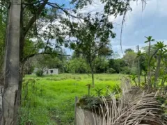 Terreno / Lote Comercial à venda, 13000m² no Santa Luzia, Caçapava - Foto 7