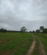 Fazenda / Sítio / Chácara à venda no Centro, Buritizeiro - Foto 9