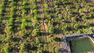 Fazenda / Sítio / Chácara à venda, 170000m² no Paripueira, Beberibe - Foto 8