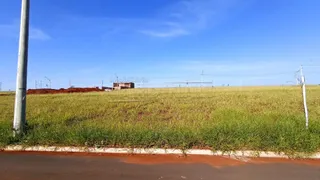 Terreno / Lote / Condomínio à venda, 250m² no , São Carlos - Foto 4