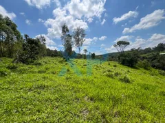 Fazenda / Sítio / Chácara com 2 Quartos à venda, 60m² no Zona Rural, São Sebastião do Oeste - Foto 20
