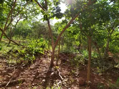 Terreno / Lote / Condomínio à venda, 20000m² no Serra do Cipó, Santana do Riacho - Foto 10