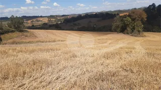 Fazenda / Sítio / Chácara com 1 Quarto à venda, 242000m² no Centro, Turvolândia - Foto 5