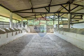 Fazenda / Sítio / Chácara com 3 Quartos à venda, 516880000m² no Rio Turvo, Tapiraí - Foto 31