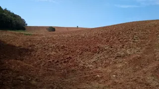 Fazenda / Sítio / Chácara com 3 Quartos à venda, 70m² no Zona Rural, Ribeirão Branco - Foto 8