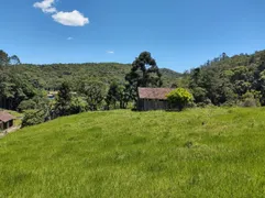 Fazenda / Sítio / Chácara com 1 Quarto à venda, 52947m² no Três Riachos, Biguaçu - Foto 11