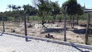 Terreno / Lote / Condomínio à venda, 370m² no Guarda do Cubatão, Palhoça - Foto 3