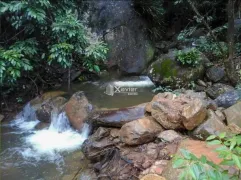 Fazenda / Sítio / Chácara com 2 Quartos à venda, 6000m² no Comunidade Urbana de Jaboti, Guarapari - Foto 21