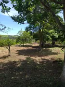 Fazenda / Sítio / Chácara com 3 Quartos à venda, 96m² no Rural, Porangaba - Foto 11