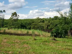 Fazenda / Sítio / Chácara com 3 Quartos à venda, 150m² no Zona Rural, Quadra - Foto 6