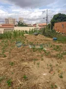 Terreno / Lote / Condomínio à venda, 420m² no Parque dos Servidores, Paulínia - Foto 1