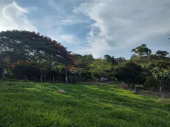 Fazenda / Sítio / Chácara com 3 Quartos à venda, 67200m² no Zona Rural, Petrolina de Goiás - Foto 10