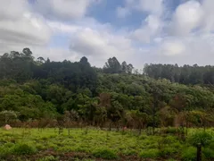 Fazenda / Sítio / Chácara com 2 Quartos à venda, 150m² no Brigadeiro Tobias, Sorocaba - Foto 5