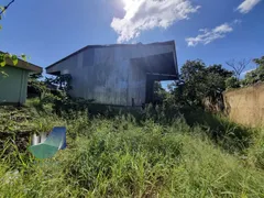 Galpão / Depósito / Armazém para alugar, 2905m² no Vila Elisa, Ribeirão Preto - Foto 5