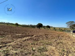 Terreno / Lote / Condomínio à venda, 24200m² no Saltinho, Elias Fausto - Foto 2