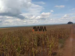 Fazenda / Sítio / Chácara à venda, 160000000m² no , Fortuna - Foto 15