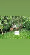 Fazenda / Sítio / Chácara com 4 Quartos à venda, 208m² no , Mulungu - Foto 15
