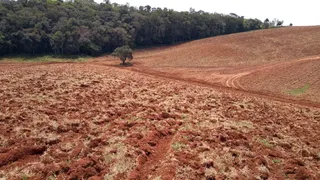 Fazenda / Sítio / Chácara com 2 Quartos à venda, 70m² no Zona Rural, Ribeirão Branco - Foto 20