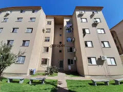 Apartamento com 2 Quartos para alugar, 47m² no Fragata, Pelotas - Foto 1