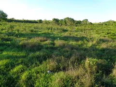 Fazenda / Sítio / Chácara com 1 Quarto à venda, 61000000m² no Vale do Sol, Campo Verde - Foto 22