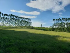 Fazenda / Sítio / Chácara com 3 Quartos à venda, 150m² no Zona Rural, Quadra - Foto 10