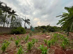 Fazenda / Sítio / Chácara à venda, 5255m² no Jardim Nilza, Maringá - Foto 28