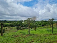 Fazenda / Sítio / Chácara com 3 Quartos à venda, 180m² no Chácara Santa Margarida, Campinas - Foto 2