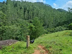 Terreno / Lote Comercial à venda, 20000m² no São Francisco Xavier, São José dos Campos - Foto 9