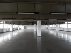 Conjunto Comercial / Sala para alugar, 615m² no Chacara do Solar I, Santana de Parnaíba - Foto 10