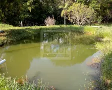 Fazenda / Sítio / Chácara com 2 Quartos à venda, 110m² no Piedade, Caçapava - Foto 22