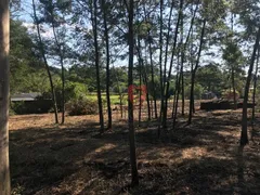 Terreno / Lote / Condomínio à venda, 2500m² no Cadiz, Gravataí - Foto 1