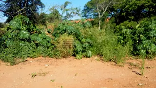 Fazenda / Sítio / Chácara com 40 Quartos à venda, 2000m² no Tijuco Preto, Caçapava - Foto 4
